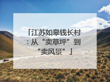 江苏如皋钱长村：从“卖草坪”到“卖风景”