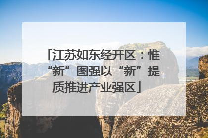 江苏如东经开区：惟“新”图强以“新”提质推进产业强区