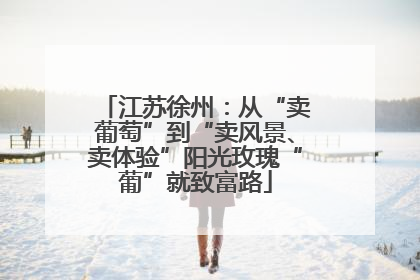 江苏徐州：从“卖葡萄”到“卖风景、卖体验”阳光玫瑰“葡”就致富路