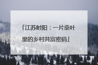 江苏射阳：一片桑叶里的乡村共富密码