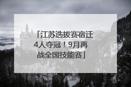 江苏选拔赛宿迁4人夺冠！9月再战全国技能赛