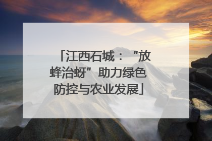 江西石城：“放蜂治蚜”助力绿色防控与农业发展