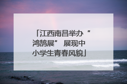 江西南昌举办“鸿鹄展” 展现中小学生青春风貌