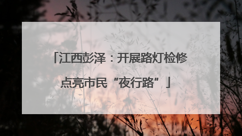 江西彭泽：开展路灯检修 点亮市民“夜行路”