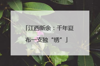 江西新余：千年夏布一支独“绣”