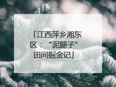 江西萍乡湘东区：“泥腿子”田间掘金记