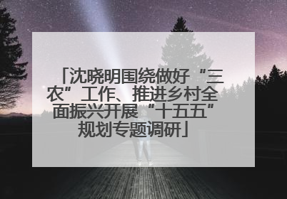 沈晓明围绕做好“三农”工作、推进乡村全面振兴开展“十五五”规划专题调研