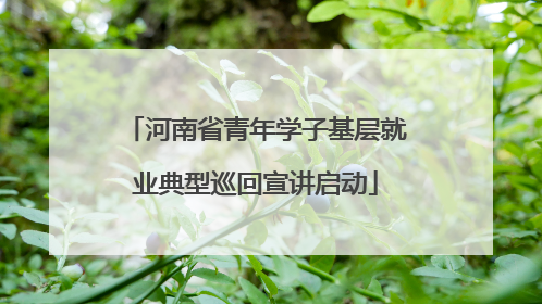 河南省青年学子基层就业典型巡回宣讲启动