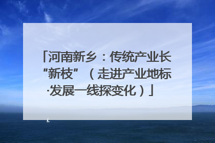 河南新乡：传统产业长“新枝”（走进产业地标·发展一线探变化）