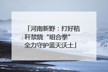 河南新野：打好秸秆禁烧“组合拳” 全力守护蓝天沃土