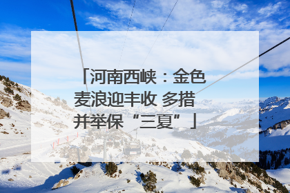 河南西峡：金色麦浪迎丰收 多措并举保“三夏”