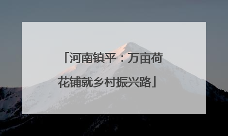 河南镇平：万亩荷花铺就乡村振兴路