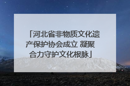 河北省非物质文化遗产保护协会成立 凝聚合力守护文化根脉