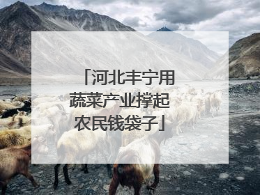 河北丰宁用蔬菜产业撑起农民钱袋子