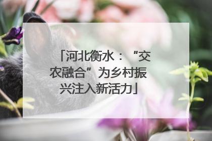 河北衡水：“交农融合”为乡村振兴注入新活力