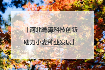 河北鸡泽科技创新助力小麦种业发展
