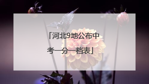 河北9地公布中考一分一档表