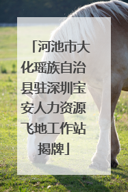 河池市大化瑶族自治县驻深圳宝安人力资源飞地工作站揭牌