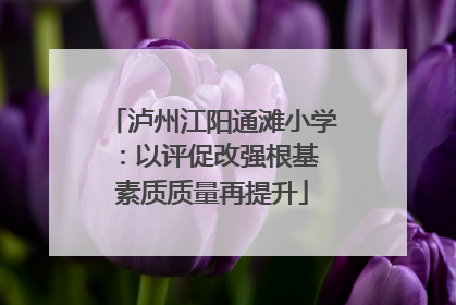 泸州江阳通滩小学：以评促改强根基 素质质量再提升