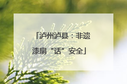 泸州泸县：非遗漆扇“话”安全