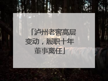 泸州老窖高层变动，履职十年董事离任
