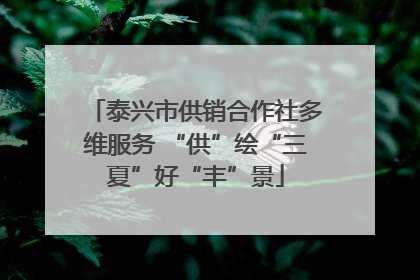 泰兴市供销合作社多维服务 “供”绘“三夏”好“丰”景