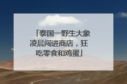 泰国一野生大象凌晨闯进商店，狂吃零食和鸡蛋