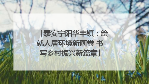 泰安宁阳华丰镇：绘就人居环境新画卷 书写乡村振兴新篇章