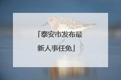 泰安市发布最新人事任免