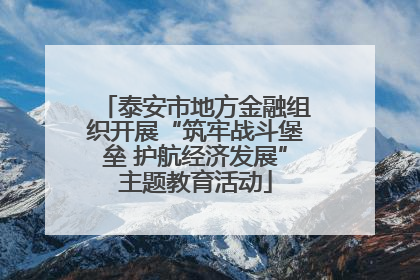 泰安市地方金融组织开展“筑牢战斗堡垒 护航经济发展”主题教育活动