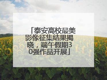 泰安高校最美影像征集结果揭晓，端午假期30强作品开展