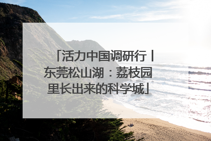 活力中国调研行丨东莞松山湖：荔枝园里长出来的科学城