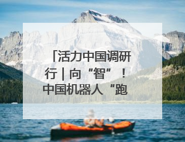 活力中国调研行｜向“智”！中国机器人“跑”起来