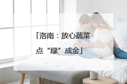 洛南：放心蔬菜点“绿”成金