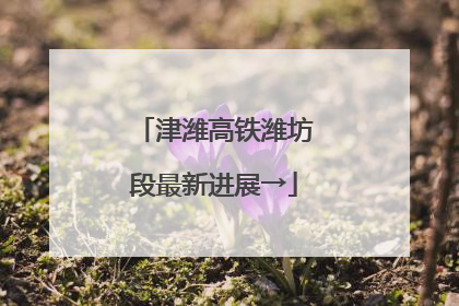 津潍高铁潍坊段最新进展→