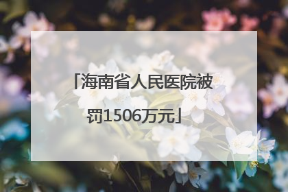 海南省人民医院被罚1506万元
