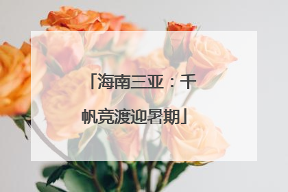 海南三亚：千帆竞渡迎暑期
