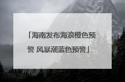 海南发布海浪橙色预警 风暴潮蓝色预警