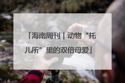 海南周刊｜动物“托儿所”里的双倍母爱