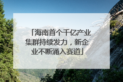 海南首个千亿产业集群持续发力，新企业不断涌入赛道