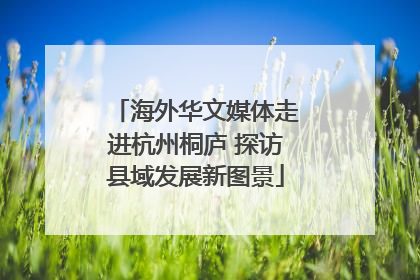 海外华文媒体走进杭州桐庐 探访县域发展新图景