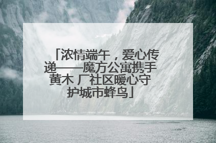 浓情端午，爱心传递——魔方公寓携手黄木 厂社区暖心守护城市蜂鸟
