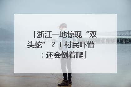 浙江一地惊现“双头蛇”？！村民吓懵：还会倒着爬