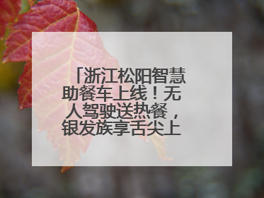 浙江松阳智慧助餐车上线！无人驾驶送热餐，银发族享舌尖上的科技关怀