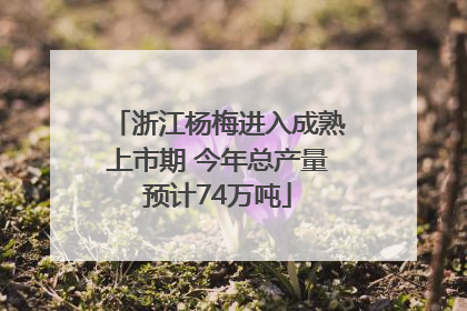 浙江杨梅进入成熟上市期 今年总产量预计74万吨