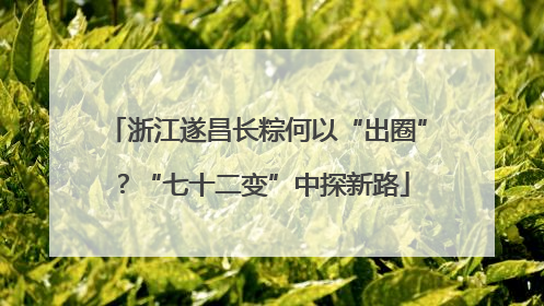 浙江遂昌长粽何以“出圈”？“七十二变”中探新路