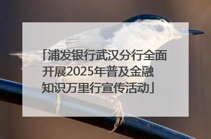 浦发银行武汉分行全面开展2025年普及金融知识万里行宣传活动