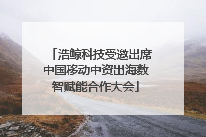 浩鲸科技受邀出席中国移动中资出海数智赋能合作大会
