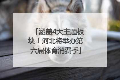 涵盖4大主题板块！河北将举办第六届体育消费季