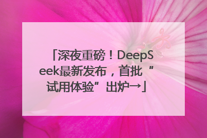 深夜重磅！DeepSeek最新发布，首批“试用体验”出炉→